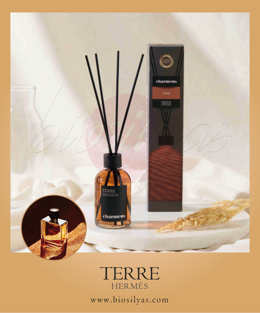 Parfum d’ambiance TERRE (HERMÈS) – 110ml.